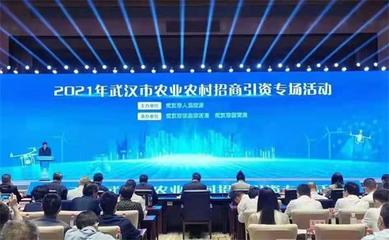 武漢農(nóng)業(yè)集團